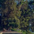 Goatfell Nuwara-Eliya