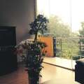 Kandy View Hotel