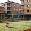 Image 30