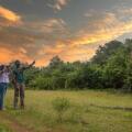 Mahoora Tented Safari Camp - Yala