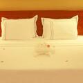 Arena Hotel