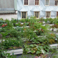 Image 13