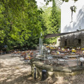 Image 15