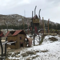Image 13