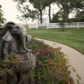 Image 13