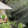 Maya Ubud Resort & Spa