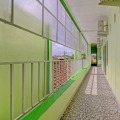Image 13