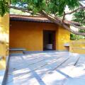 Raintree