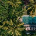 Coconut Grove