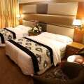 Dubai Palm Hotel