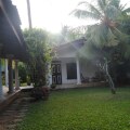 Paradise Garden