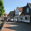 Image 13