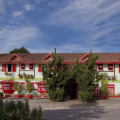 Image 21