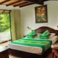 Hotel Tree Of Life
