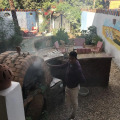 Image 22