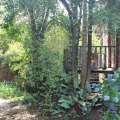 Image 13