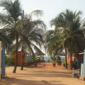 Image 15