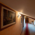 Image 37
