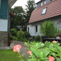 Image 16