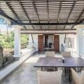 Taru Villas - The Muse