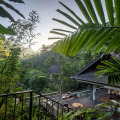 Buahan, A Banyan Tree Escape