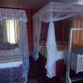 Little Pumpkin Cabanas