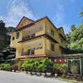 Arundina Cameron Highlands