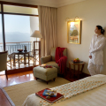 Ananda In The Himalayas