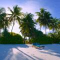 Canareef Resort Maldives