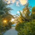 Rahaa Resort