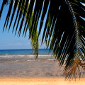 Paya Beach Spa & Dive Resort