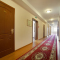 Image 14