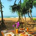 Aditya Resort