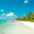 Canareef Resort Maldives