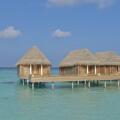 Milaidhoo Island Maldives
