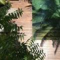 Kaju Green Eco Lodges Hotel