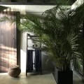 Kaju Green Eco Lodges Hotel