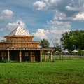Image 31