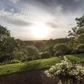Villa Mayurana By Edwards Collection
