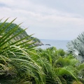 Image 13