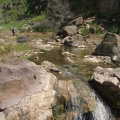 Image 33