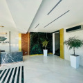 Image 15