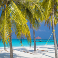 Hondaafushi Island Resort