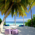 Mirihi Island Resort