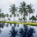 Green Turtle Villa By The Serendipity Collection