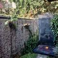 Munduk Moding Plantation Nature Resort & Spa