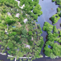 Kaju Green Eco Lodges Hotel