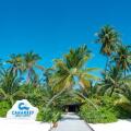 Canareef Resort Maldives
