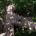 Image 13