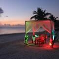 Canareef Resort Maldives